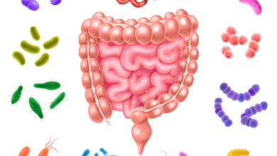 Optimisez votre santé digestive avec nos astuces pour un microbiote intestinal équilibré