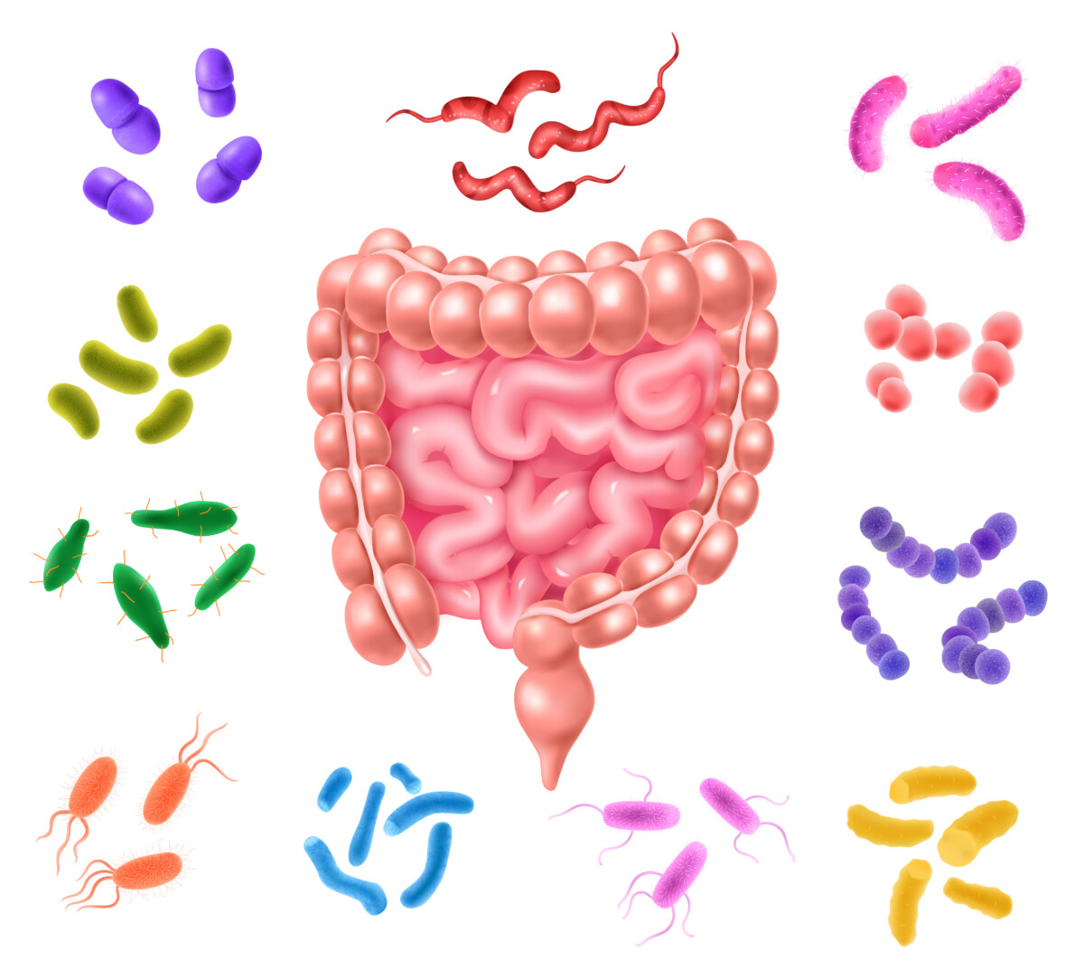 Optimisez votre santé digestive avec nos astuces pour un microbiote intestinal équilibré