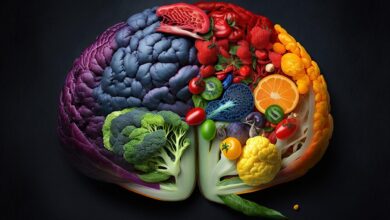 Savourez ces aliments pour un cerveau en Pleine santé et boostez vos capacités cognitives !