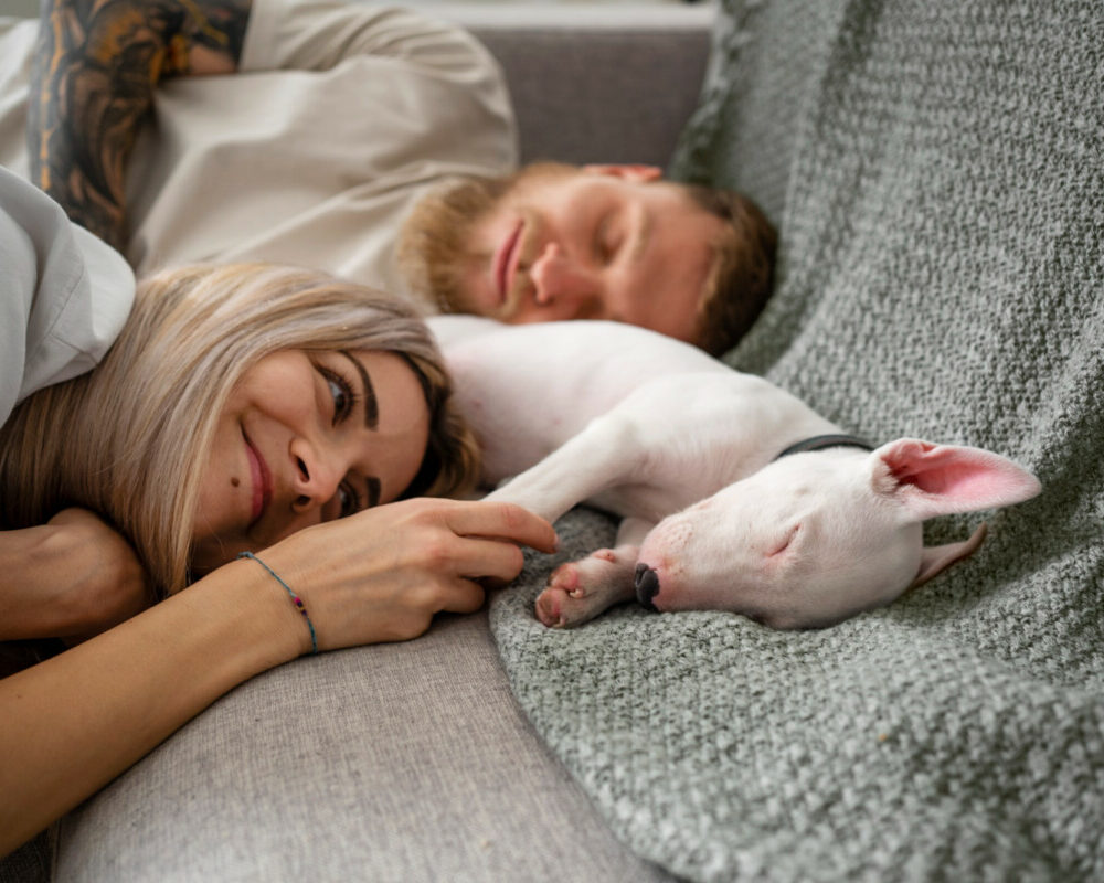 Dormir avec un chat ou un chien impact sur la qualité de votre sommeil.