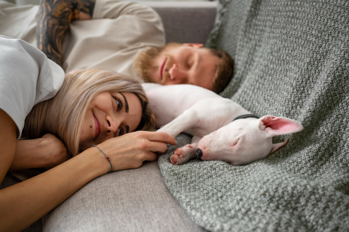 Dormir avec un chat ou un chien impact sur la qualité de votre sommeil.