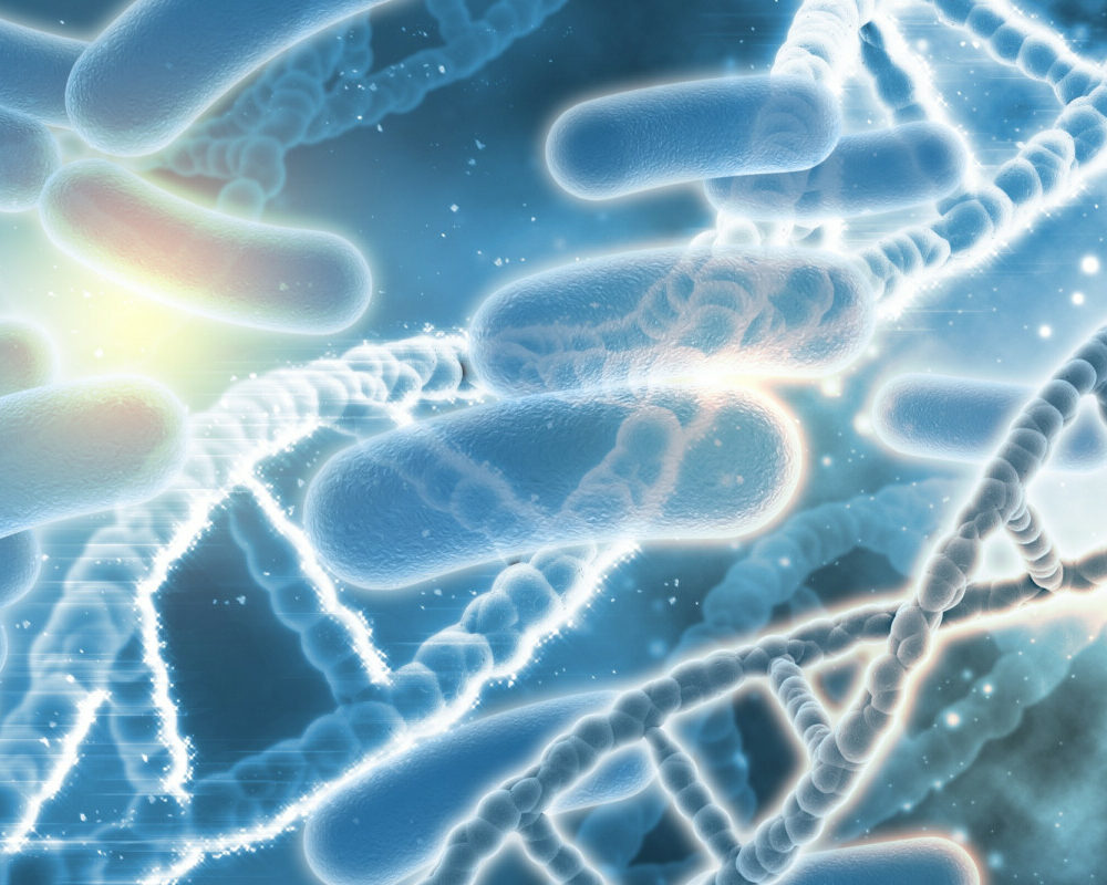 Décryptage du microbiote intestinal biotique probiotique prébiotique et plus expliqués en profondeur