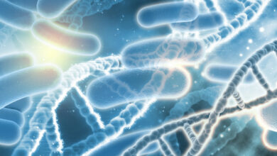 Décryptage du microbiote intestinal biotique probiotique prébiotique et plus expliqués en profondeur