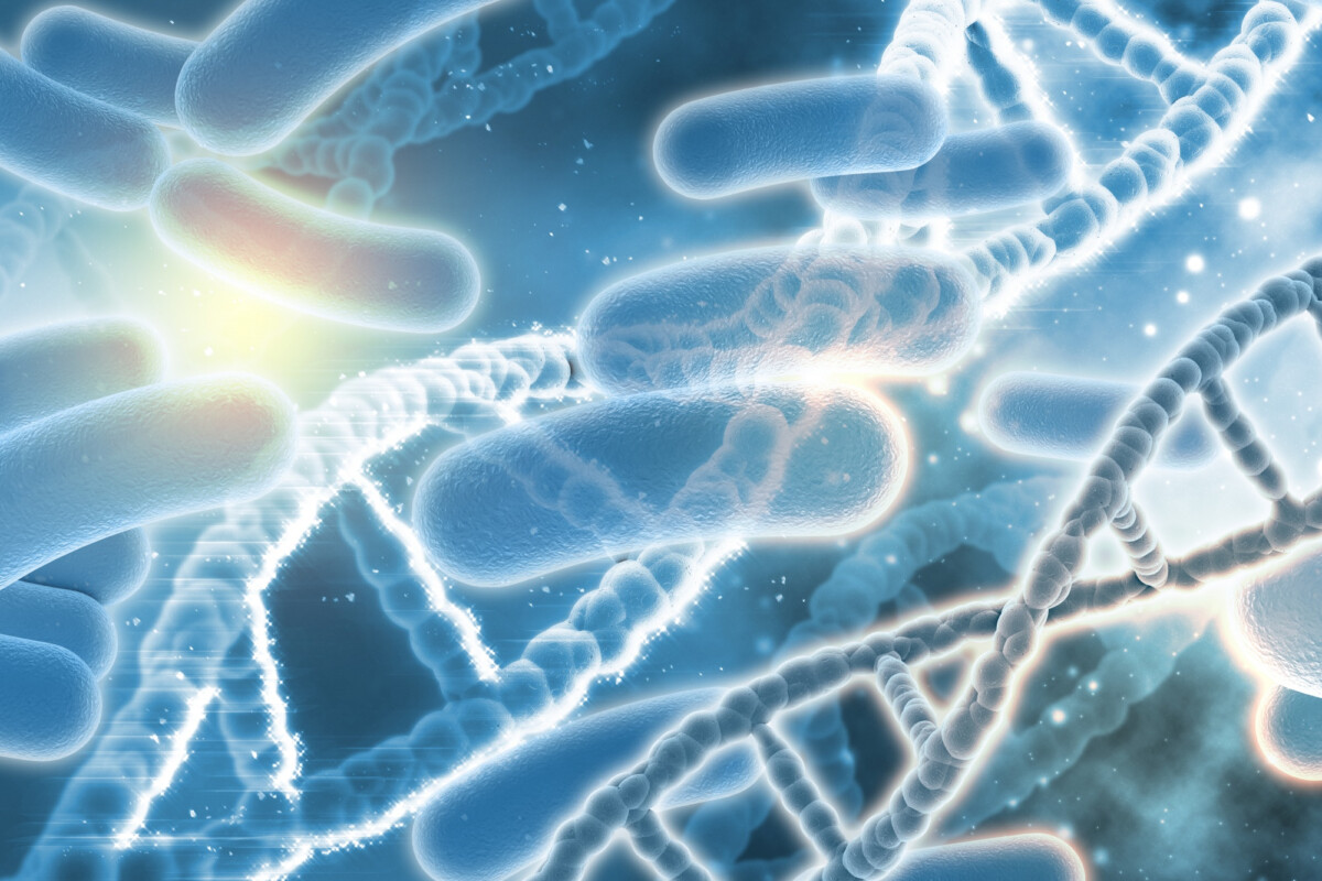 Décryptage du microbiote intestinal biotique probiotique prébiotique et plus expliqués en profondeur