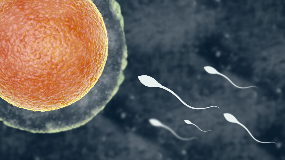 Le déclin alarmant de la concentration des spermatozoïdes un risque pour la fertilité masculine mondiale