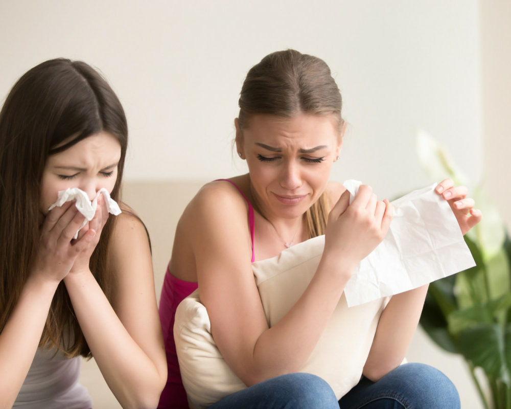 Anticipation des augmentations futures des allergies et mesures de prévention