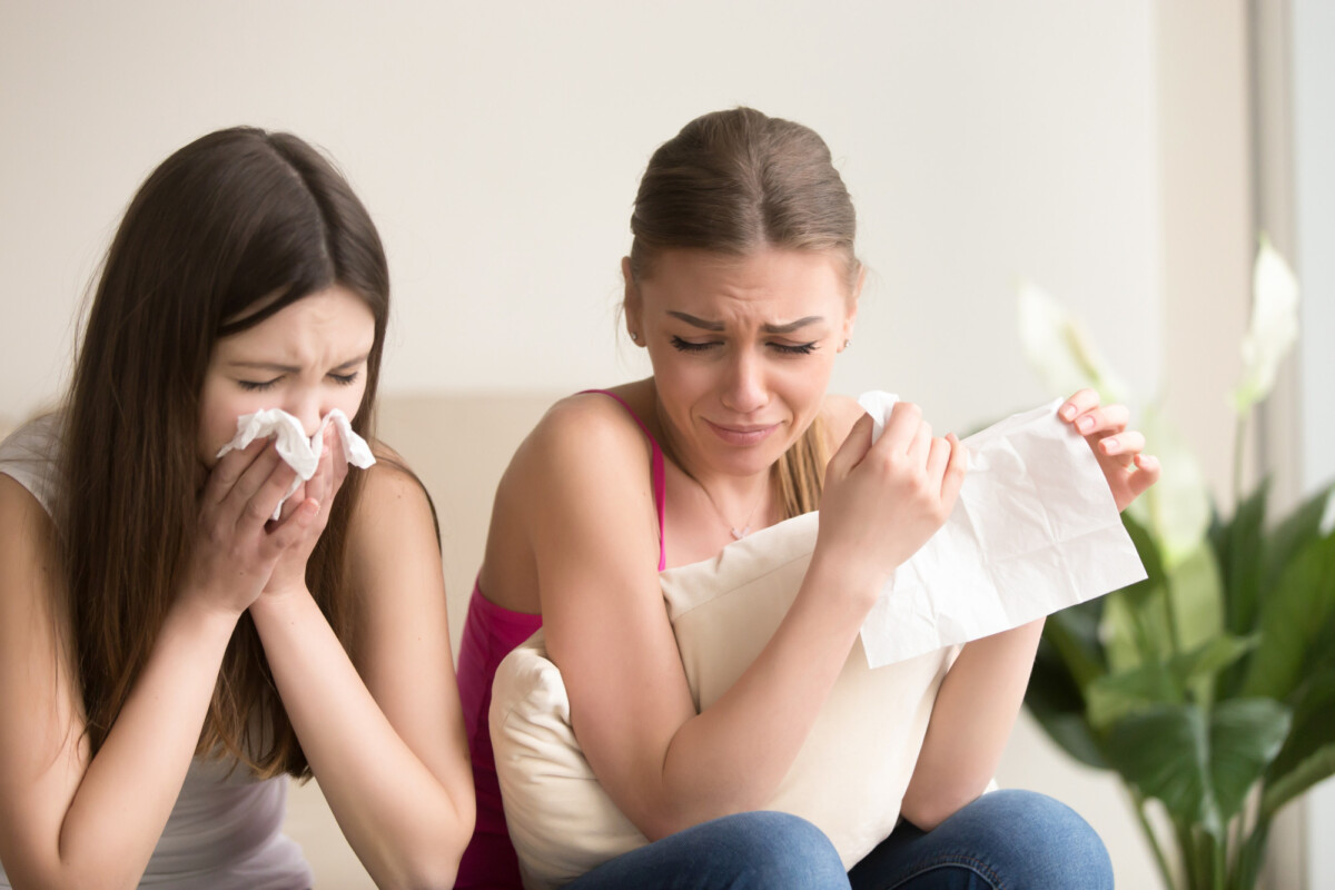 Anticipation des augmentations futures des allergies et mesures de prévention