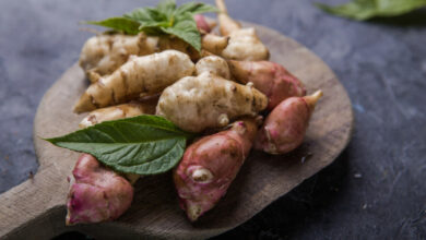 Le topinambour un super légume racine pour une santé optimale !