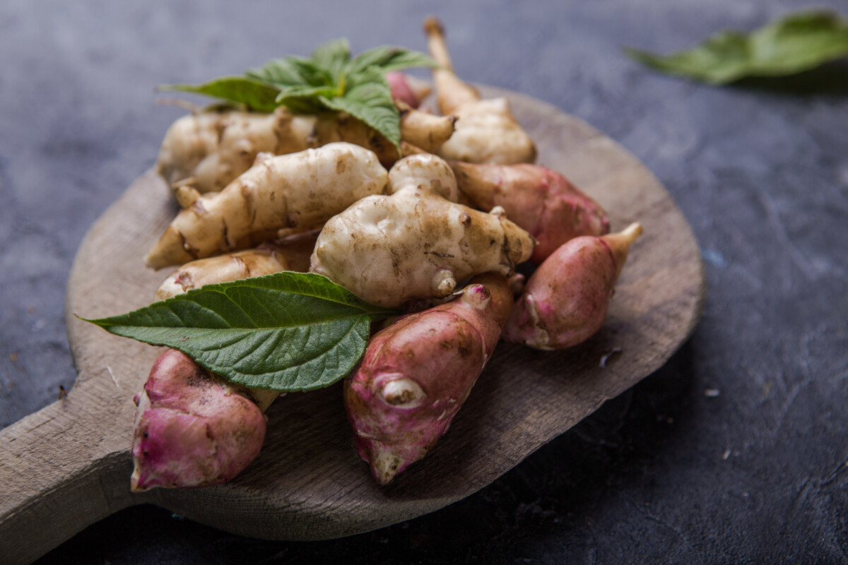 Le topinambour un super légume racine pour une santé optimale !