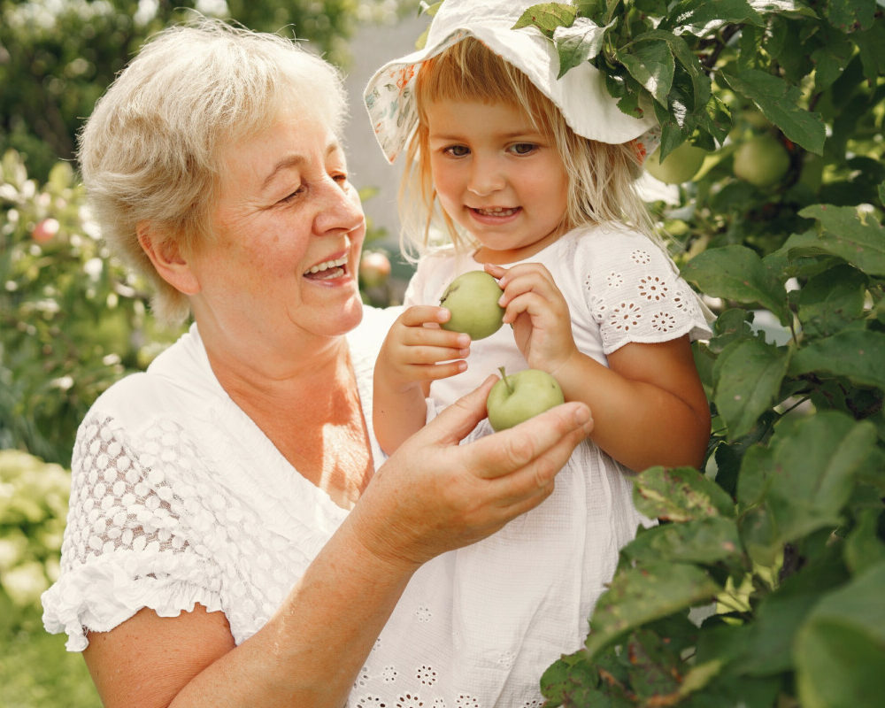 Secrets de santé naturelle les remèdes de grand-mère pour une vie équilibrée