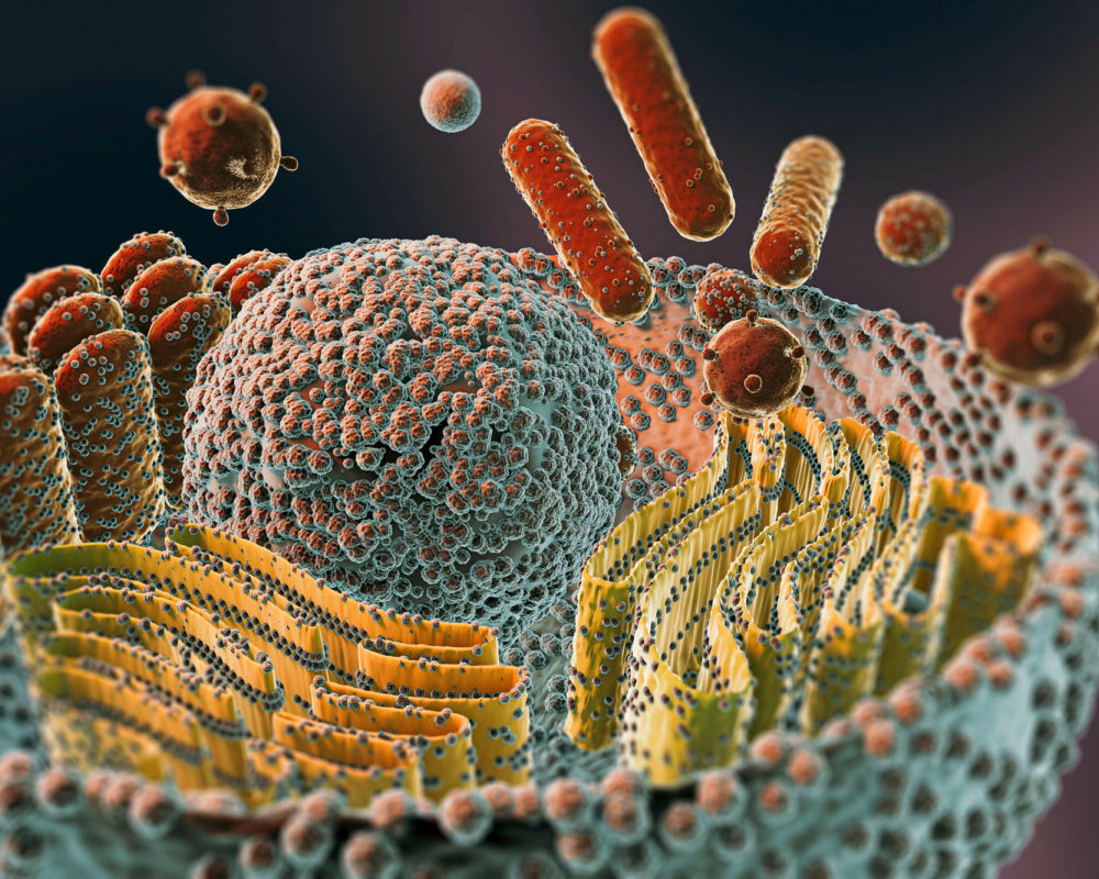 Comprendre le virus de marburg risques symptômes et prévention contre cette menace microscopique.