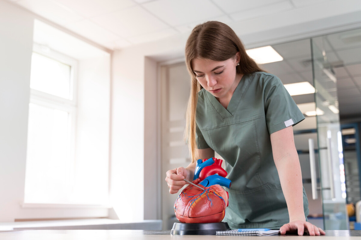 Boostez votre santé cardiaque les bienfaits de l'escalade quotidienne des marches