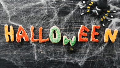 Décryptage de la peur d'halloween 2023 plongée dans l'effroi de la nuit des citrouilles