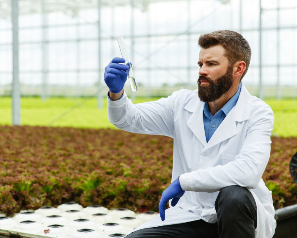 Impact des pesticides sur la fertilité masculine mesures de protection et prévention essentielles.