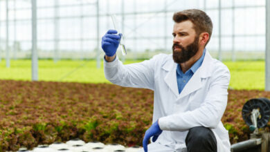 Impact des pesticides sur la fertilité masculine mesures de protection et prévention essentielles.