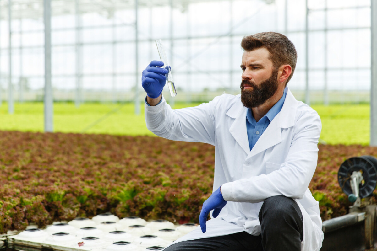 Impact des pesticides sur la fertilité masculine mesures de protection et prévention essentielles.