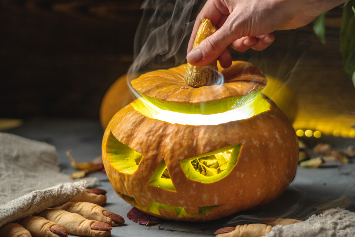 Découvrez les délices sucrés de la courge des desserts magiques à essayer absolument!