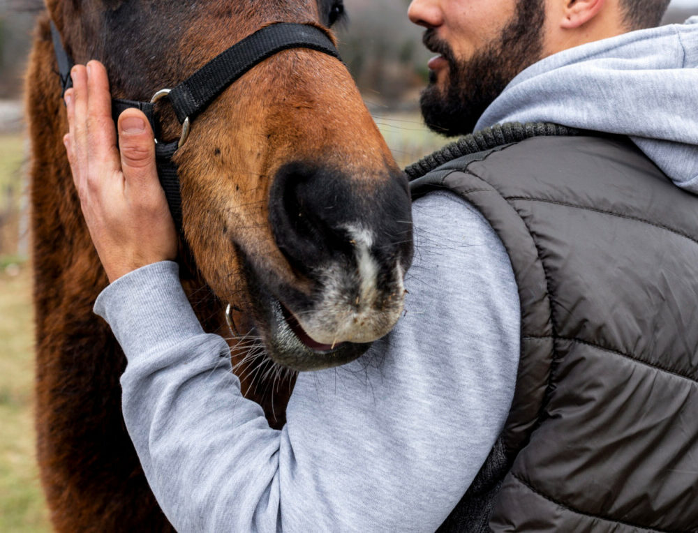 Santé mentale améliorée grâce à la médiation animale découvrez son pouvoir bienfaisant.