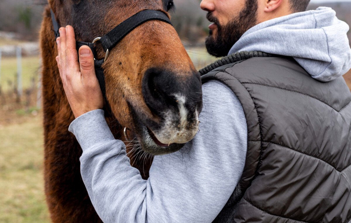 Santé mentale améliorée grâce à la médiation animale découvrez son pouvoir bienfaisant.