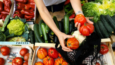 Gestion du fer dans l'alimentation les légumes à privilégier pour un équilibre optimal.