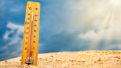 Soleil brûlant et gonflement : Découvrez pourquoi la chaleur affecte votre corps en été.