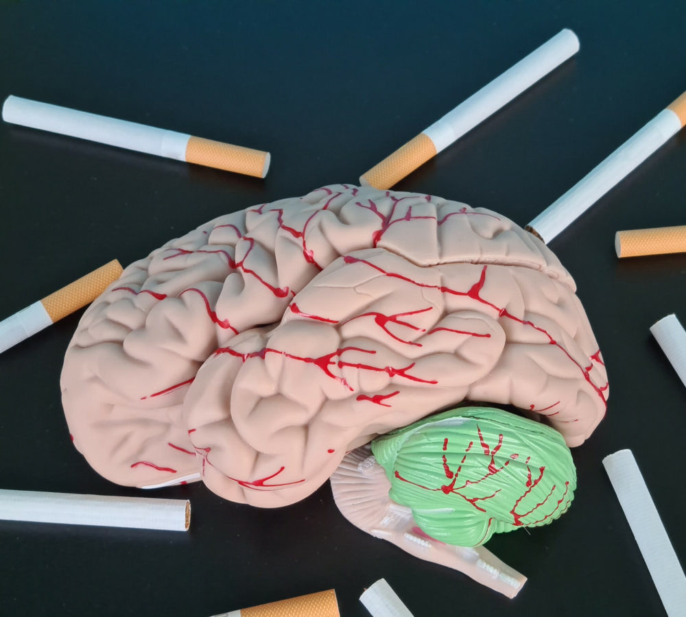 Découvrez les effets de la nicotine sur le cerveau et le corps informations essentielles à connaître