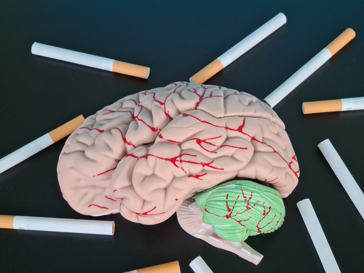 Découvrez les effets de la nicotine sur le cerveau et le corps informations essentielles à connaître