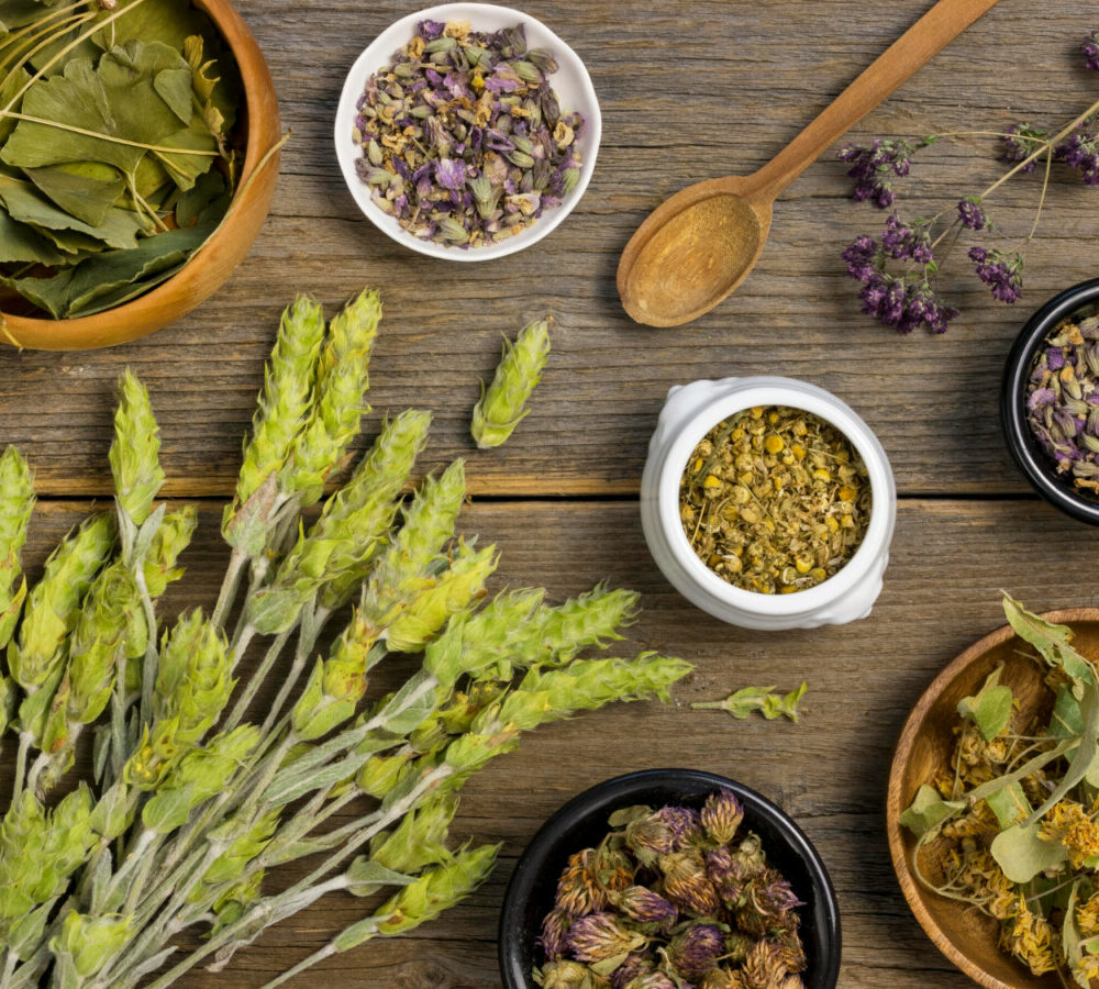 Sérénité au quotidien découvrez les meilleures plantes anti-stress pour une vie équilibrée