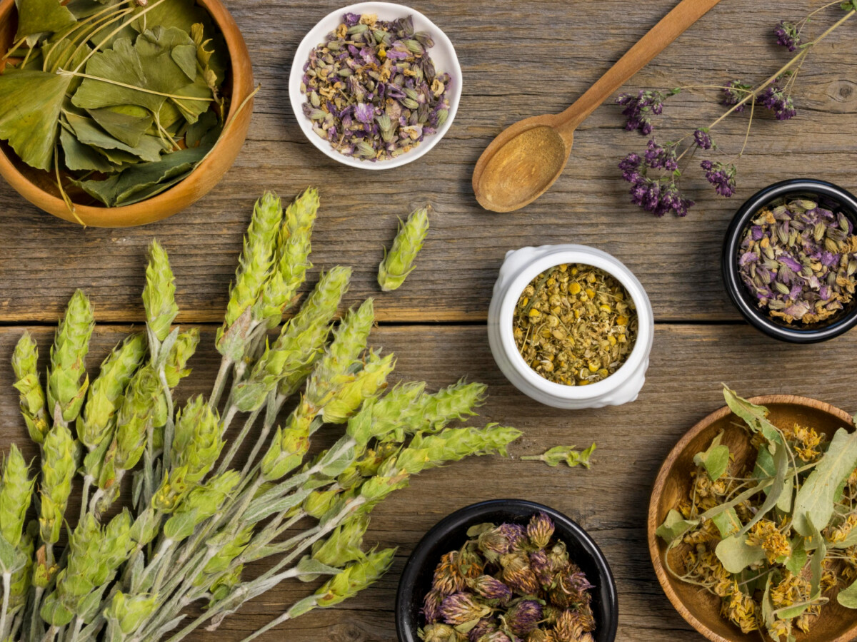 Sérénité au quotidien découvrez les meilleures plantes anti-stress pour une vie équilibrée