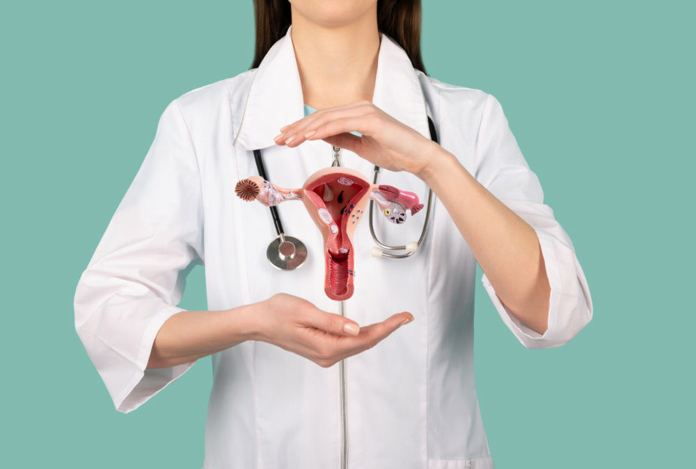 female-doctor-gynecologist-with-stethoscope-holds-model-female-reproductive-system-hands-help-care-concept