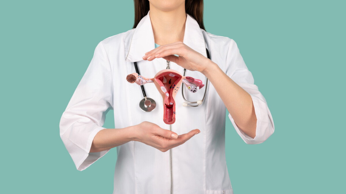 female-doctor-gynecologist-with-stethoscope-holds-model-female-reproductive-system-hands-help-care-concept