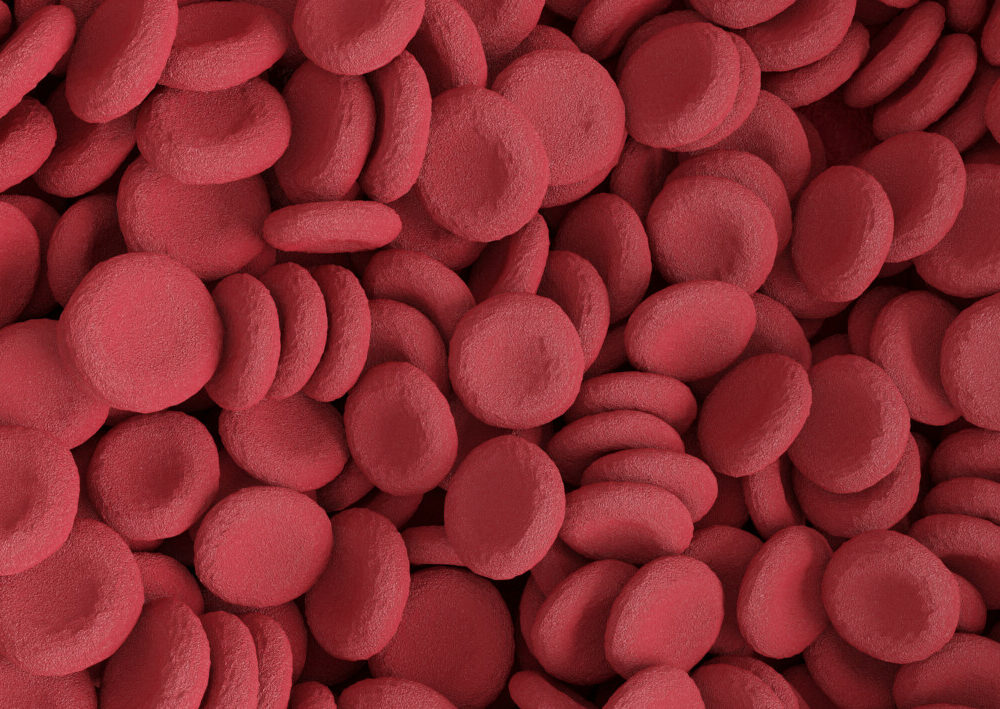 red-blood-cells-background-blood-elements-3d-rendering