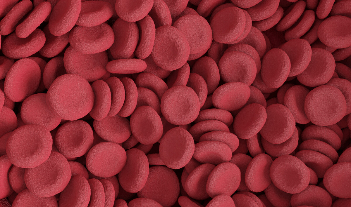 red-blood-cells-background-blood-elements-3d-rendering