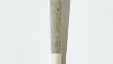 vertical-isolated-shot-marijuana-blunt-white