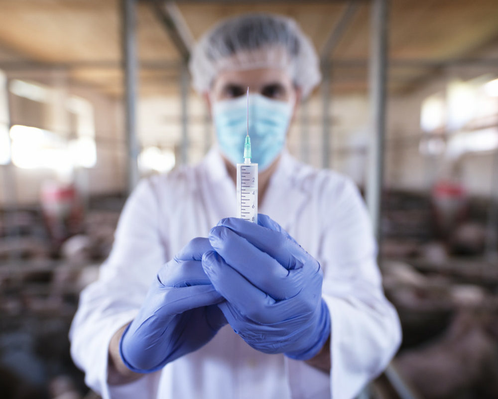 veterinarian-with-protective-gloves-mask-preparing-vaccine-injection-pig-farm