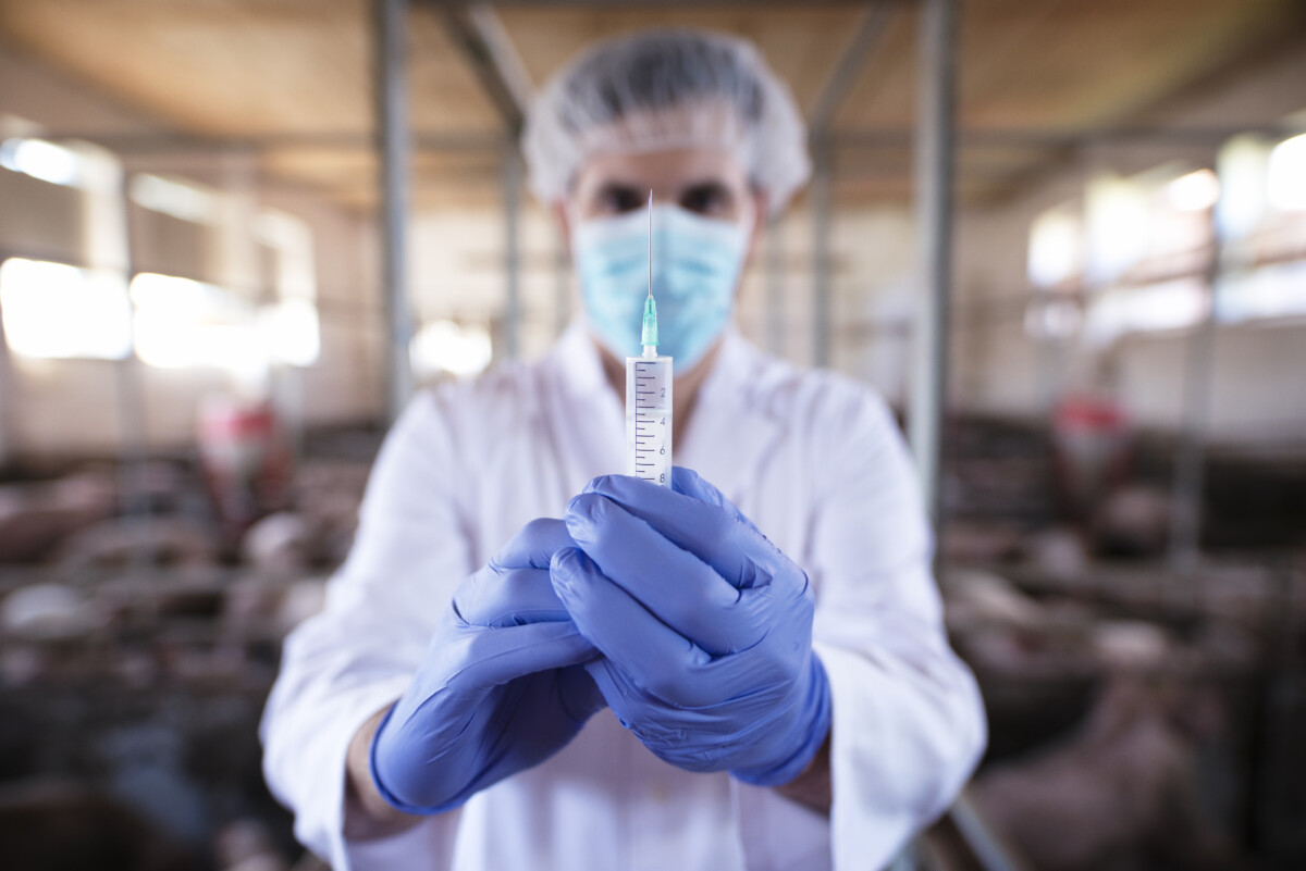 veterinarian-with-protective-gloves-mask-preparing-vaccine-injection-pig-farm