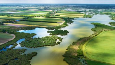 biodiversité