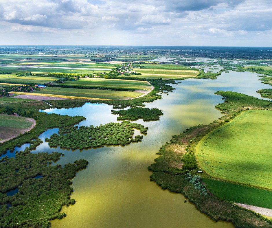 biodiversité